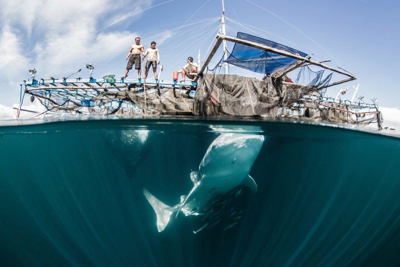 Image: Shawn Heinrichs
